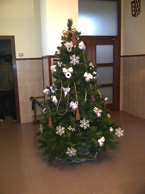 Pla formatiu Club Valldaura - Desembre 2012