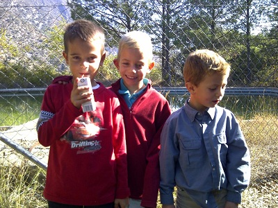 Pla formatiu Club Valldaura - Març 2013