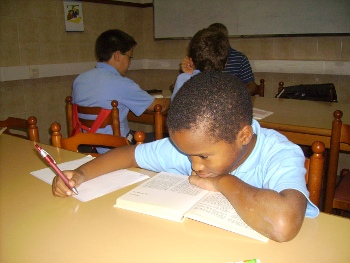 Socis a l'estudi