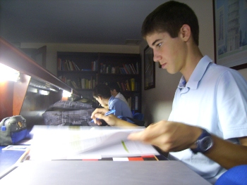 Socis a l'estudi