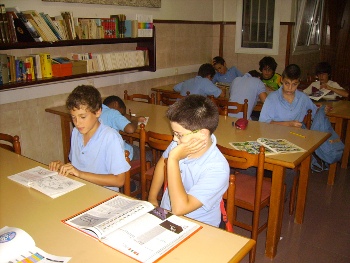 Socis a l'estudi