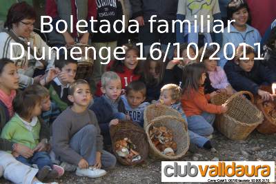 Boletada familiar 2011