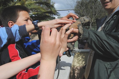 Una gran jornada al CRARC - Club Valladura
