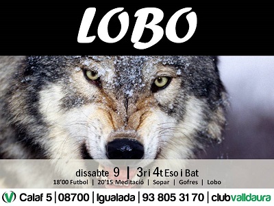 Futbol i Lobo - 3r i 4t ESO i BAT (09/11/2013) - Club Valldaura